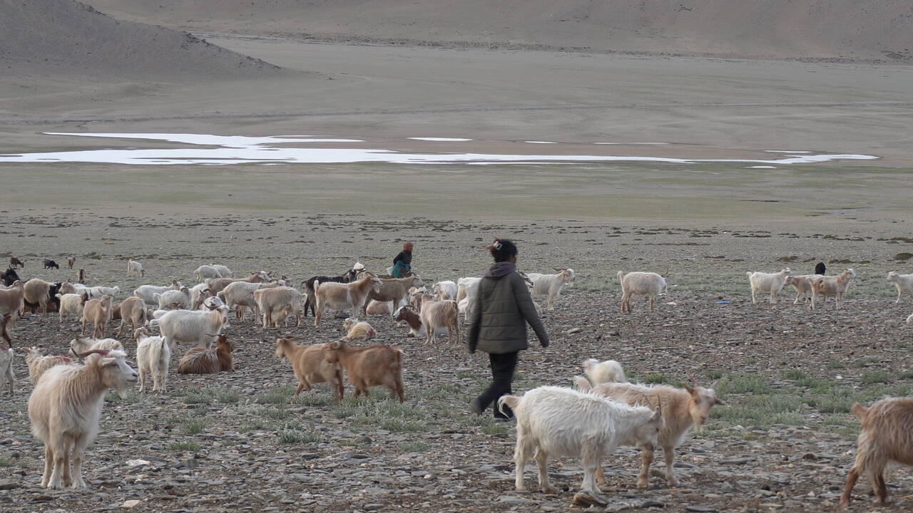 Digital Storytelling & Climate Kinship